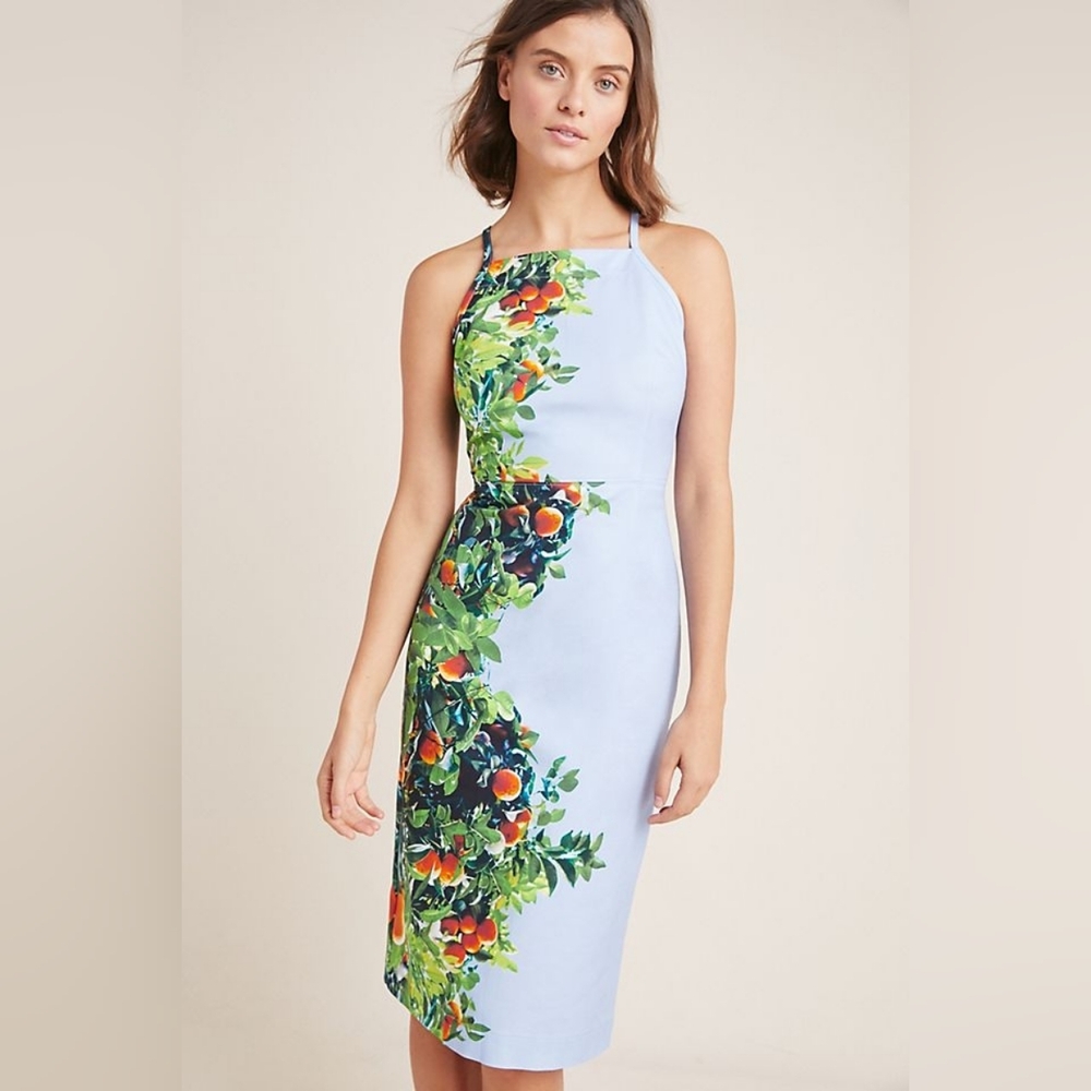 Maeve x Anthropologie 'Orange Bough' Stretch Cotton Pencil Dress, Size 10